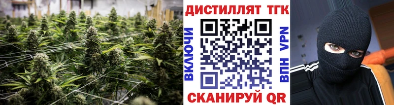 Купить закладки  Соль-Илецк  ТГК Wax